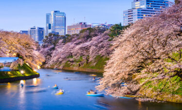 4-DAY GLIMPSE OF SOUTH KOREA