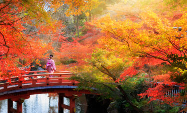 11 DAYS JAPAN WITH HOKKAIDO